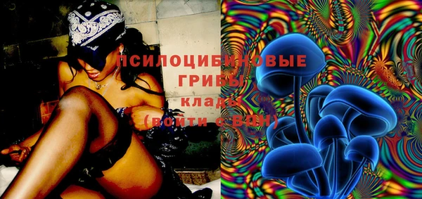 гашик Абинск