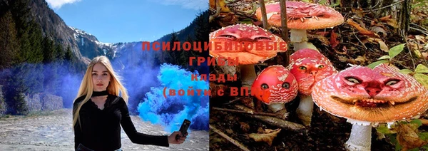 гашик Абинск