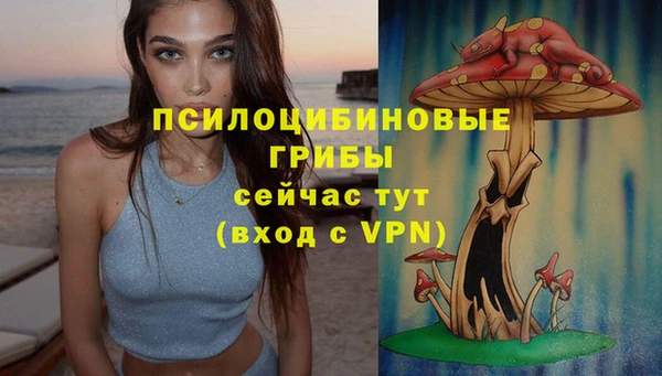 гашик Абинск