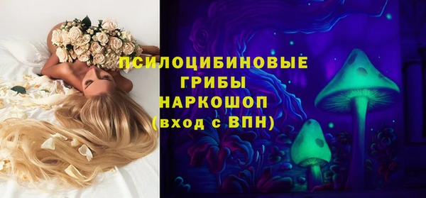 гашик Абинск