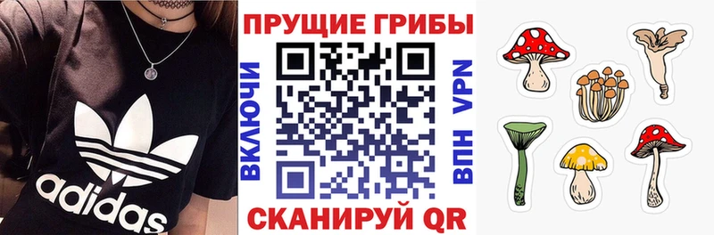 нарко площадка как зайти  Черноголовка  Псилоцибиновые грибы Magic Shrooms  наркота  ОМГ ОМГ ссылка 